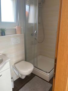 Un baño con ducha, inodoro y lavabo. en DOM WAKACYJNY BEZPOŚREDNIO PRZY MORZu, en Sevid