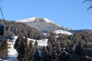 Nespecifikovaný výhled na hory nebo výhled na hory při pohledu z bed and breakfast