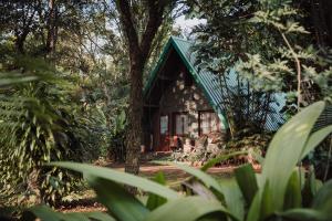 a cabin in the woods with a green roof at Overo Lodge & Selva in Puerto Iguazú