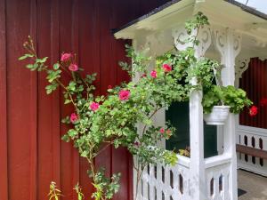 Aed väljaspool majutusasutust Stenbrottets lillstuga
