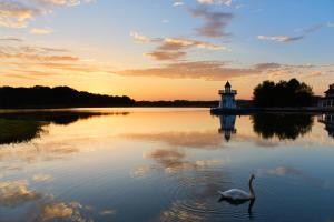 un cygne nageant dans un lac avec un phare dans l'établissement Center Parcs Le Lac d’Ailette, à Chamouille