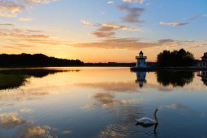 a swan swimming in a lake with a lighthouse at Center Parcs Le Lac d’Ailette in Chamouille