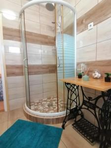 a shower in a room with a table at Őrségi Lápréti Vendégház in Szőce +58 photos