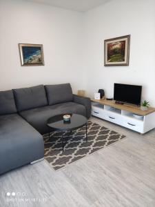 a living room with a couch and a table at Apartment Josip in Crveni Vrh