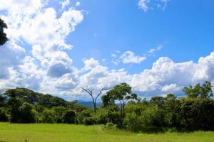 un champ verdoyant avec des arbres et un ciel nuageux dans l'établissement Lovely 4 bed in Mutare - 2178, à Umtali