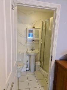 uma casa de banho com um WC, um lavatório e um chuveiro em City centre Top floor apartment in Belfast city centre em Belfast