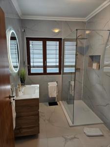 uma casa de banho com um chuveiro e um lavatório. em Studio no centro do Funchal no Funchal
