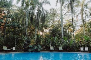 a swimming pool with chairs and palm trees at Overo Lodge & Selva in Puerto Iguazú