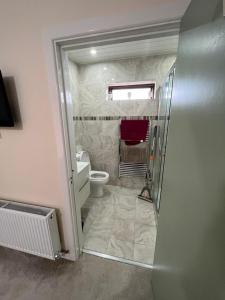 uma casa de banho com um chuveiro e um WC. em Straffan em Straffan