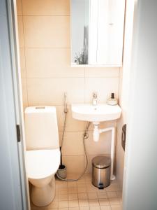 a bathroom with a toilet and a sink at Poukama in Porvoo +47 photos
