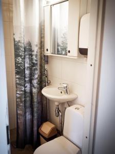La salle de bains est pourvue d'un lavabo, de toilettes et d'une douche. dans l'établissement Poukama, à Porvoo