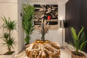 Fotografie z fotogalerie ubytování Limonaia v destinaci Barcelona