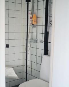 a bathroom with a shower with a toilet at Beautiful design studio in the heart of Kallio in Helsinki