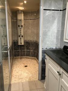 La salle de bains est pourvue d'une douche avec une porte en verre. dans l'établissement La Jousselinie, à Saint-Auvent