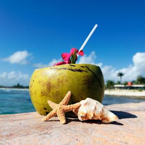 a coconut and a starfish on the beach at SPARV Aulakhs Resort in Mandrem