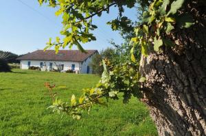 a house in a field with a tree at Le tuc in Orist