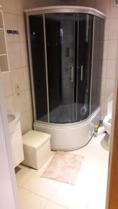 uma casa de banho com um chuveiro e um WC. em Namelis sodyboje Lazduona 