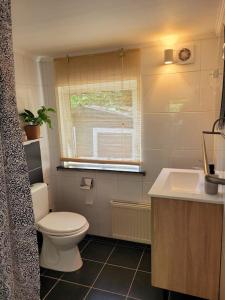 a bathroom with a toilet and a sink and a window at Natuurhuisje De Zwaluw in Putten