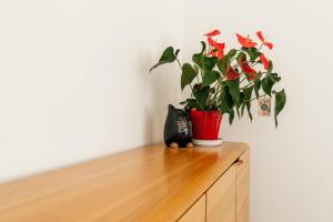 Fotografie z fotogalerie ubytování Befour Vakantiewoning v destinaci Aalst