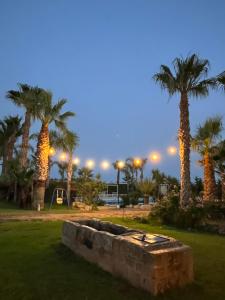 un parque con palmeras por la noche con luces en Masseria Boscorotondo, en Scicli