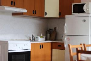 Kuchyň nebo kuchyňský kout v ubytování Apartments Dante