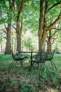 The Flat a Wanderlust Abodes property في Central Lake: طاولة وكراسي للتنزه في حديقة بها أشجار