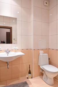 y baño con lavabo, aseo y espejo. en Cozy Fortuna Apartments 46, en Bansko
