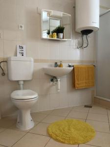 bagno con servizi igienici, lavandino e specchio di Apartments Dante a Vrsi (Verchè)