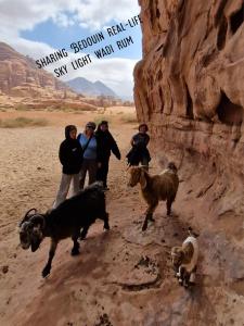 a group of people standing in the desert with animals at Sky Light Wadi Rum in Wadi Rum