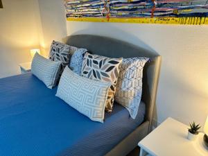 Posteľ alebo postele v izbe v ubytovaní Amarin Pisa Apartment