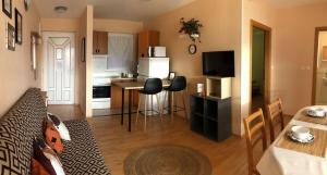 Kuchyň nebo kuchyňský kout v ubytování Apartments Dante