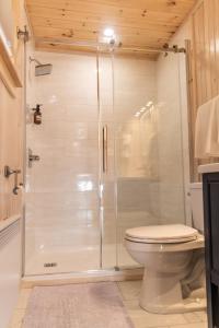 a bathroom with a toilet and a glass shower at Petals oceanview villa 
