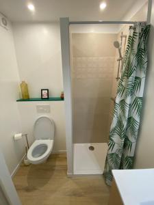 a bathroom with a toilet and a shower curtain at Appartement en bord de mer 1 in Banyuls-sur-Mer