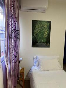 1 dormitorio con 1 cama y una pintura en la pared en Guest House Éxito en Madrid, en Madrid