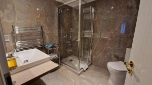 a bathroom with a shower and a sink and a toilet at Apartment Residence Bratislava in Bratislava