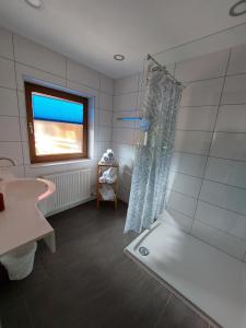 een badkamer met een douche en een wastafel bij Appartements Zellner in Alpbach