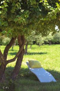a blue bench sitting in the grass next to a tree at Croissant de Lune Studio Moon in Bagard