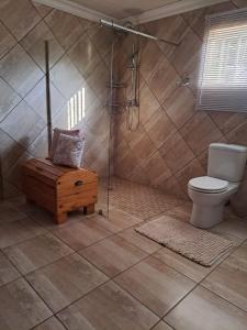 a bathroom with a toilet and a shower and a wooden box at Rus en Rose Gastehuis in Bloemfontein