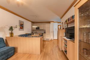 Kuchnia lub aneks kuchenny w obiekcie Appartement Lilie by Schladming-Appartements