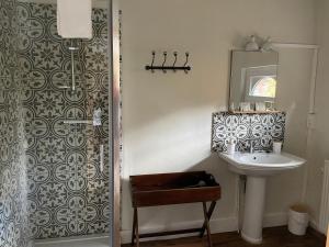 Un baño con lavabo y ducha con espejo. en Grammelot, en Beauraing