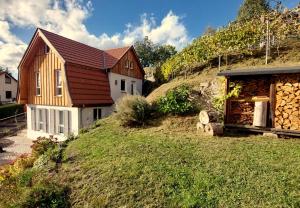 a house on a hill next to a building at Haus am Weinberg in Breitungen