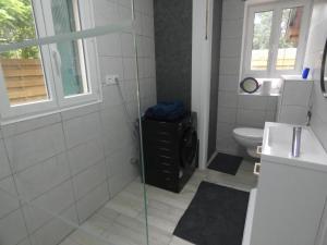 a bathroom with a shower and a toilet at Gîte de linxe in Linxe +16 photos