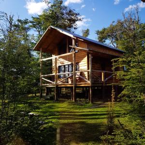 una cabaña de madera en el bosque con árboles en CABAÑAS LOS ARÁNDANOS en Tolhuin