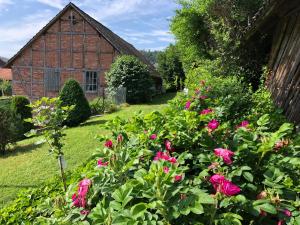 un jardín con flores rosas frente a un edificio en Ferienwohnung unterm Stein, en Alheim