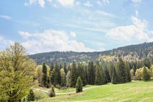 um campo relvado com árvores ao lado de uma montanha em Haus Castellblick em Ballrechten