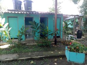 una casa azul con plantas delante en Cabañas Los Almendros en Capurganá