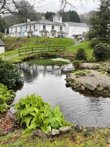 un estanque en un jardín con una casa al fondo en Frankie's Holiday Lodge, en Gunnislake