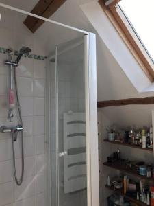 La salle de bains est pourvue d'une douche avec une porte en verre. dans l'établissement Charming apartment in city center, à Dijon