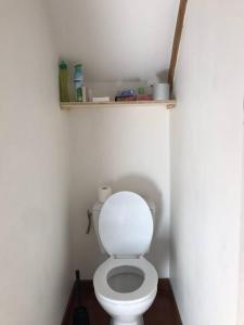 La salle de bains est pourvue de toilettes avec une étagère sur le mur. dans l'établissement Charming apartment in city center, à Dijon