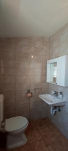 bagno con servizi igienici e lavandino di Apartments Bresina a Povljana (Pogliana)